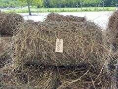10 Mini Round Bales 1st Mix (20"x28")