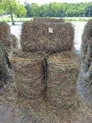 10 Mini Round Bales 1st Mix (20"x28")