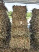 15 Mini Round Bales 1st Mix (28"x20")
