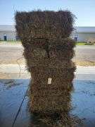 15 1st (15%) Clover Alfalfa & (85%) Timothy Orchard Grass - Never Wet