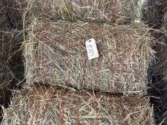 15 Mini Round Bales 1st Mix (28"x20")