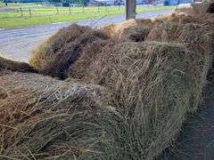 2 Round Bales 1st Mix Grass (4x4) Stored inside (2024)