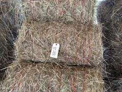 15 Mini Round Bales 1st Mix (28"x20")