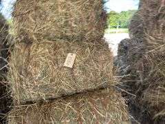 15 Mini Round Bales 1st Mix (28"x20")