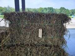 6 1st Alfalfa Orchard Timothy