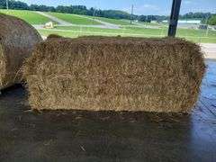 1 Large Square 1st Grass (3x3)