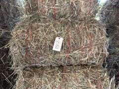 15 Mini Round Bales 1st Mix (28"x20")