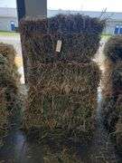 7 1st Alfalfa Orchard Timothy