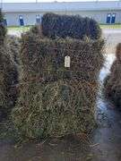 11 1st Alfalfa Orchard Timothy