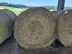 2 Round Bales Orchard Clover Alfalfa  Dry  (4x5) Net Wrapped  Stored Inside