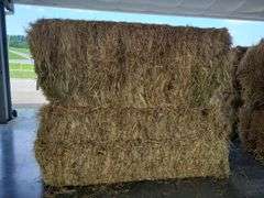 2 Large Squares 1st Grass (3x3)