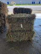 7 1st Alfalfa Orchard Timothy