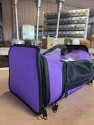 Critter Carrier - No Holes