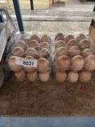 4 Doz Chicken Eating Eggs