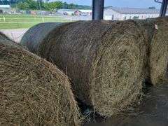 2 Round Bales Orchard Clover Alfalfa  Dry  (4x5) Net Wrapped  Stored Inside