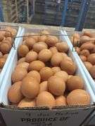 9 Doz Medium Brown Eating Eggs