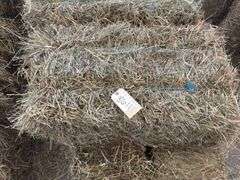 10 1st Grass