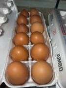 3 Doz Brown Mixed Eating Eggs