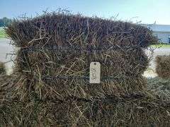 15 1st (15%) Clover Alfalfa & (85%) Timothy Orchard Grass - Never Wet
