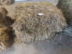4 Bales 1st Cut