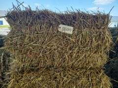 10 Wheat Straw