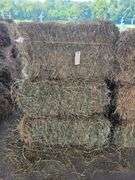 10 1st Alfalfa Orchard Timothy
