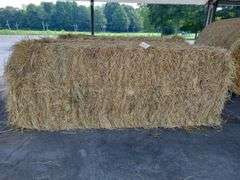 1 Large Square 1st Grass (3x3)
