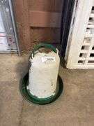 Small Chicken Waterer