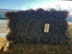 13 1st Orchard Grass Timothy Mix