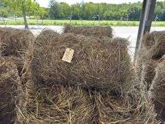 10 Mini Round Bales 1st Mix (20"x28")