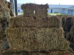 23 1st Grass (2025) Got Wet