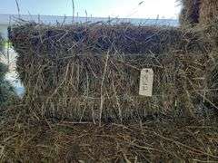 8 1st Orchard Grass Timothy Mix