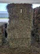 20 1st Orchard Grass Timothy Mix