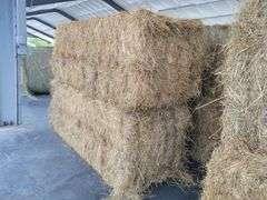 2 Large Squares 1st Grass (3x3)
