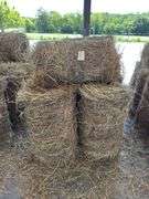 10 Mini Round Bales 1st Mix (20"x28")