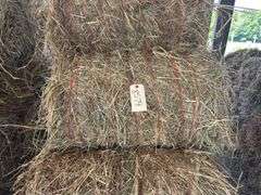 15 Mini Round Bales 1st Mix (28"x20")