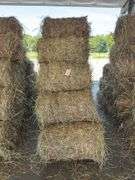 15 Mini Round Bales 1st Mix (28"x20")