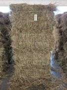 20 1st Orchard Grass Timothy Mix