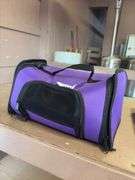 Critter Carrier - No Holes