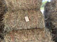 15 Mini Round Bales 1st Mix (28"x20")