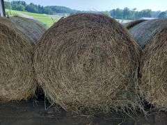 2 Round Bales 1st Orch Alf Clover (4x5) Net Wrapped Stored Inside