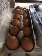 4 Doz Brown Eating Eggs
