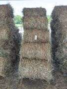 15 Mini Round Bales 1st Mix (28"x20")