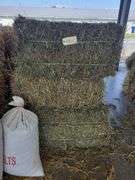 10 3rd Gras Alfalfa (2024)