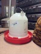 Chicken Waterer