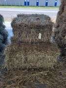 8 1st Orchard Grass Timothy Mix
