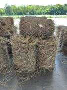 10 Mini Round Bales 1st Mix (20"x28")
