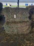 10 2nd Alfalfa Timothy