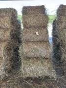15 Mini Round Bales 1st Mix (28"x20")