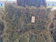 11 1st Alfalfa Orchard Timothy